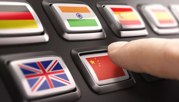 Document Translation Services